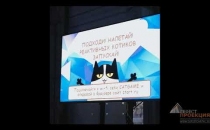 Реактивные котики