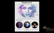 Digital-активность «Морфология»